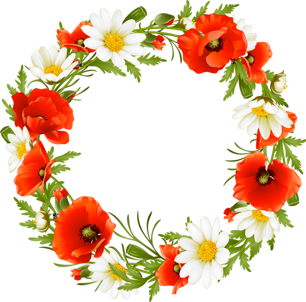 Vibrant_ Poppy_and_ Daisy_ Wreath.png