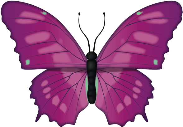 Vibrant Purple Butterfly Illustration