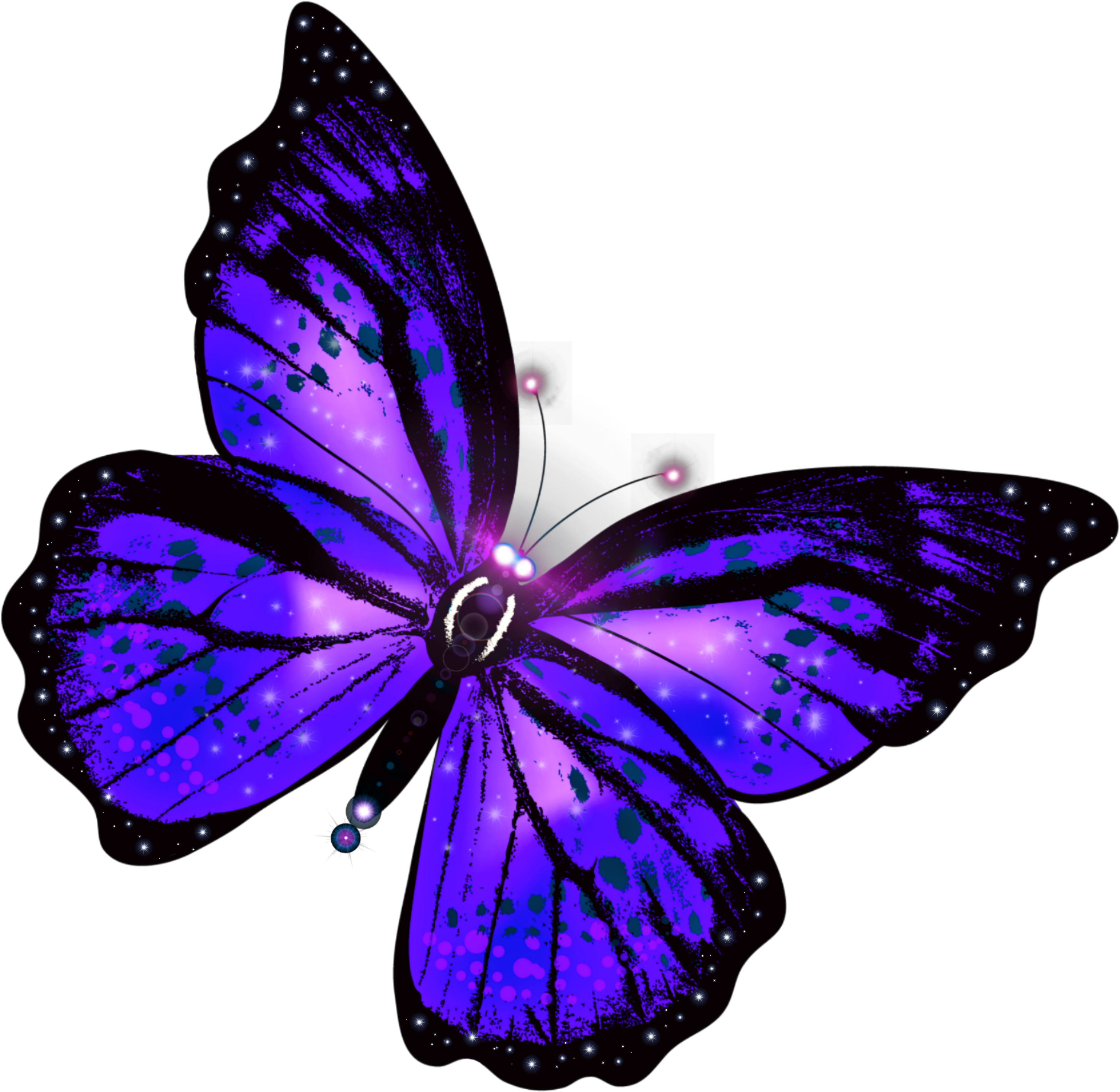 Vibrant Purple Butterfly Illustration