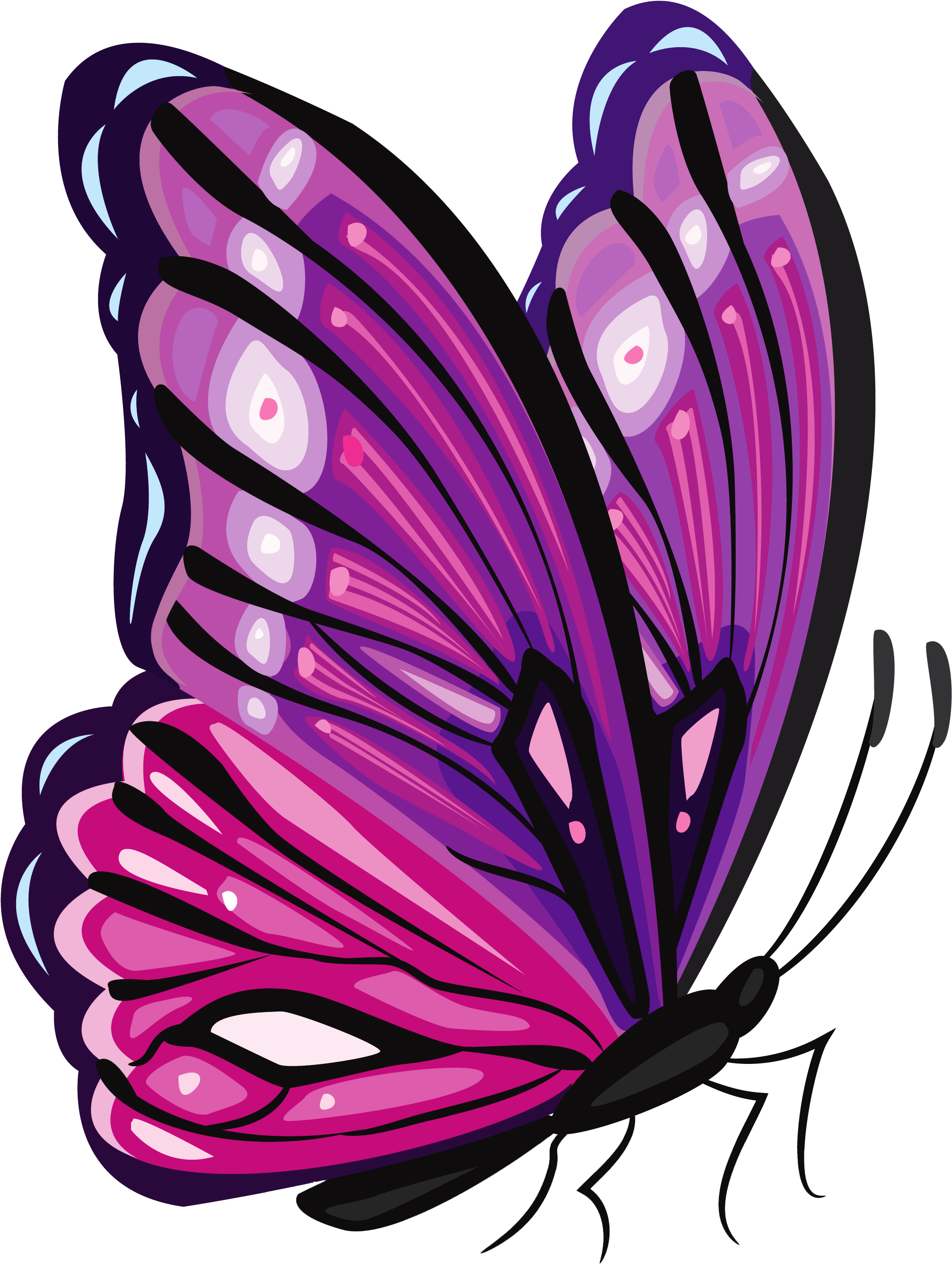 Vibrant Purple Butterfly Illustration