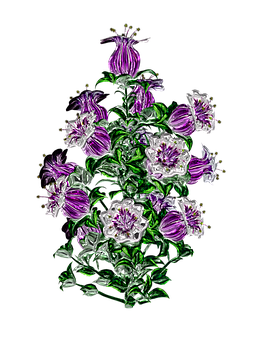 Vibrant Purple Flowers Artwork