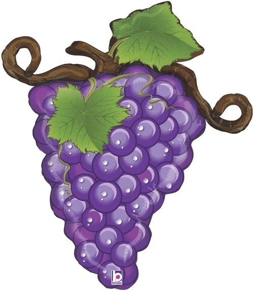 Vibrant Purple Grapes Illustration