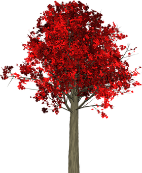 Vibrant Red Autumn Tree