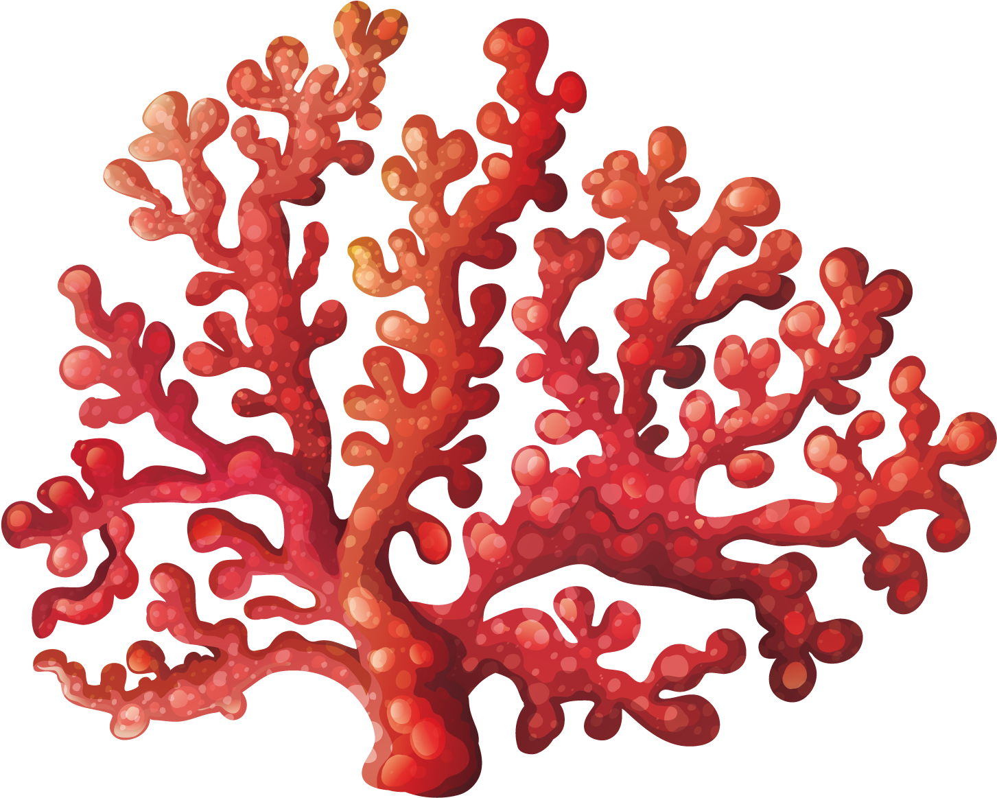 Vibrant Red Coral Illustration