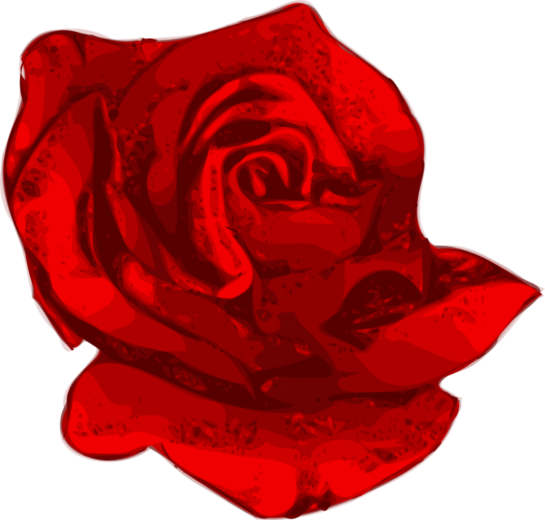 Vibrant Red Rose Graphic