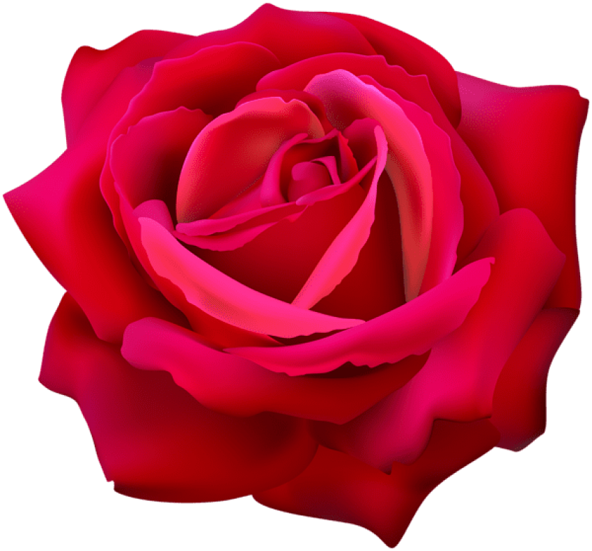 Vibrant Red Rose3 D Render