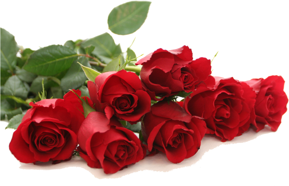 Vibrant_ Red_ Roses_ Bouquet.png