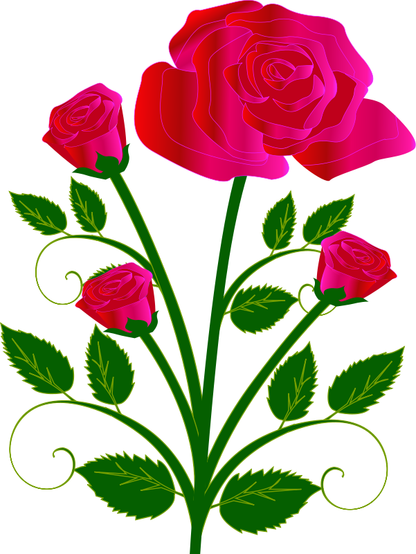 Vibrant Red Roses Vector Art