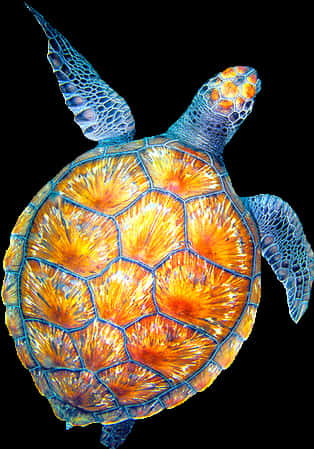 Vibrant Sea Turtle Swimming