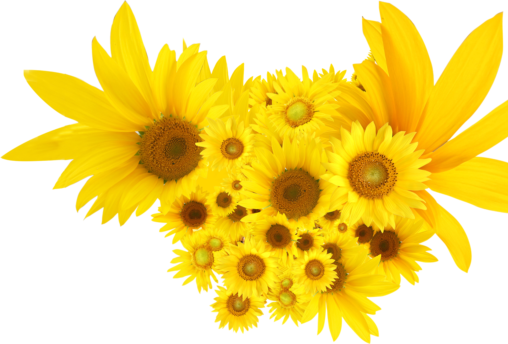 Vibrant Sunflower Bouquet.png