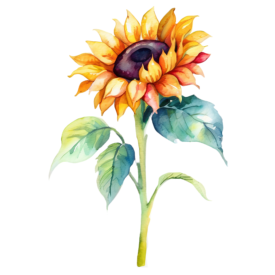 Vibrant Sunflower Watercolor Graphic Png 06272024