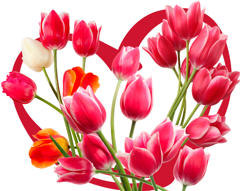 Vibrant_ Tulip_ Bouquet_ Heart_ Background