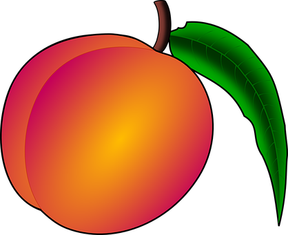 Vibrant Vector Peach