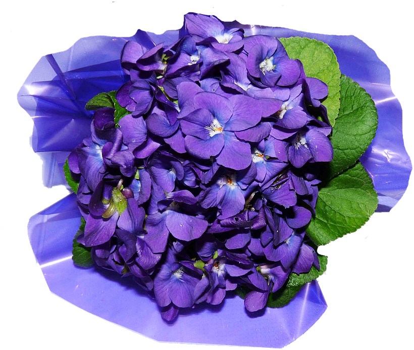 Vibrant Violet Flowers Cluster.png