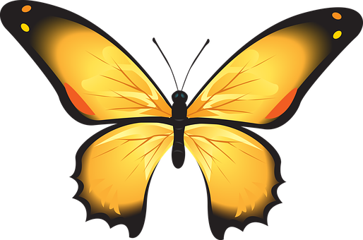 Vibrant Yellow Butterfly Illustration