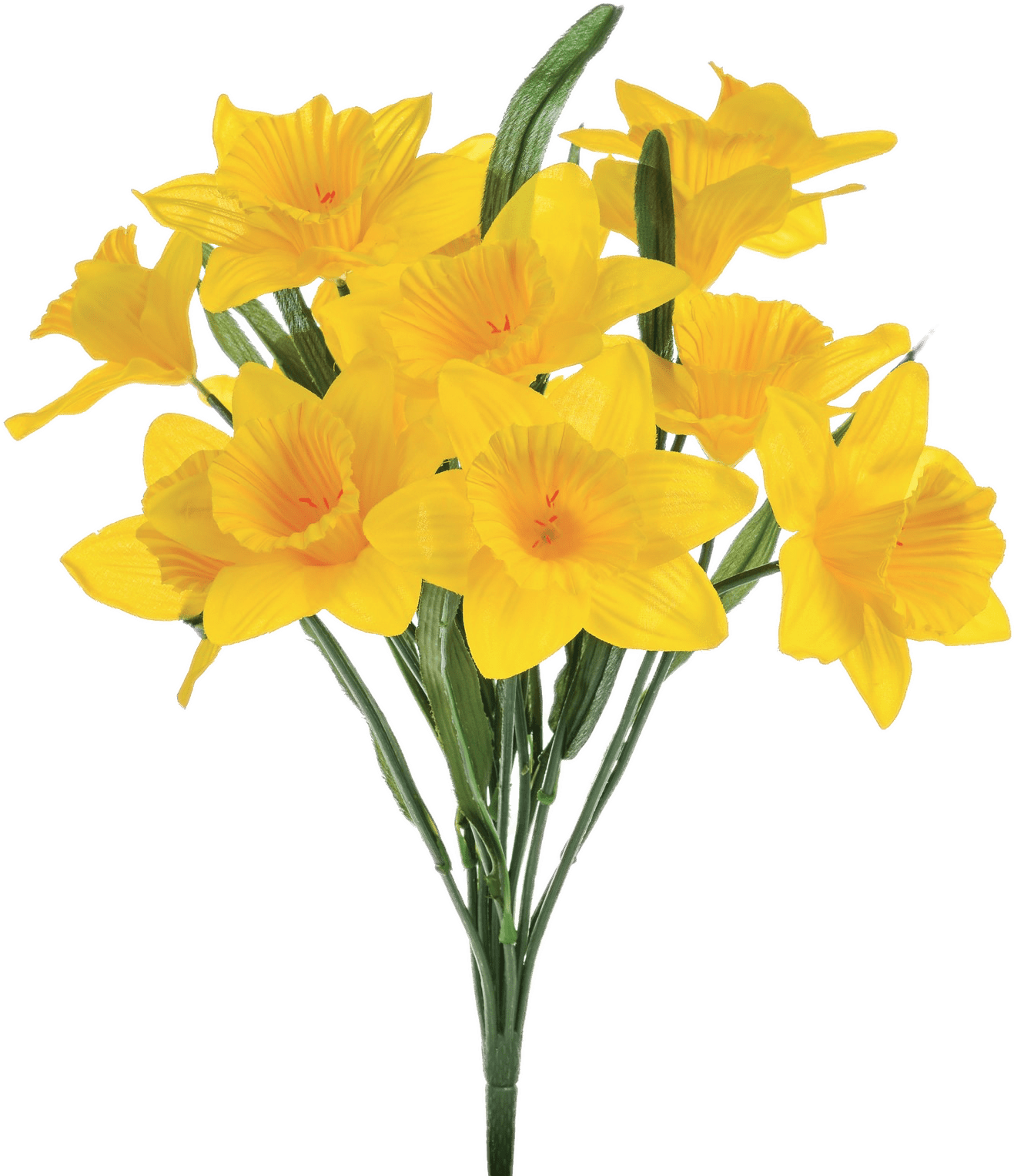 Vibrant Yellow Daffodils Bouquet