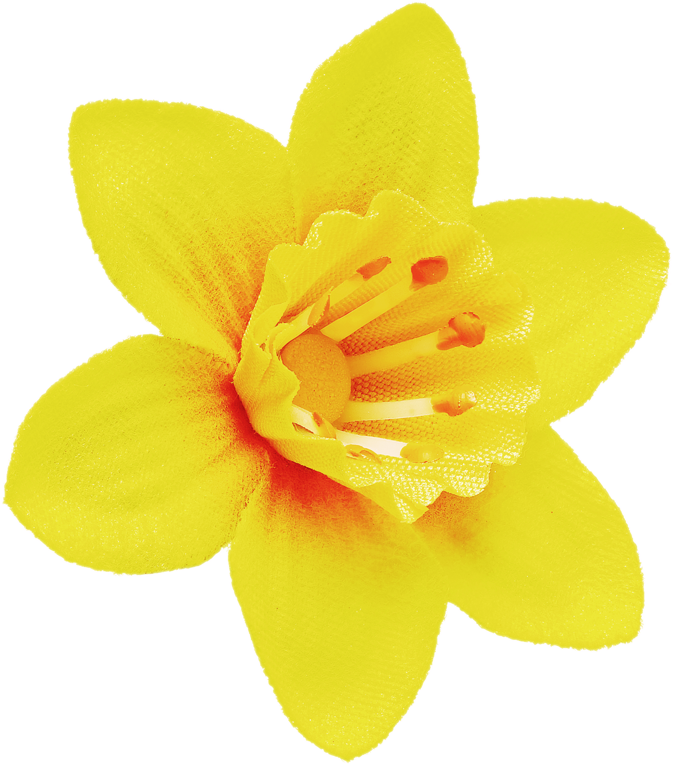 Vibrant Yellow Narcissus Flower