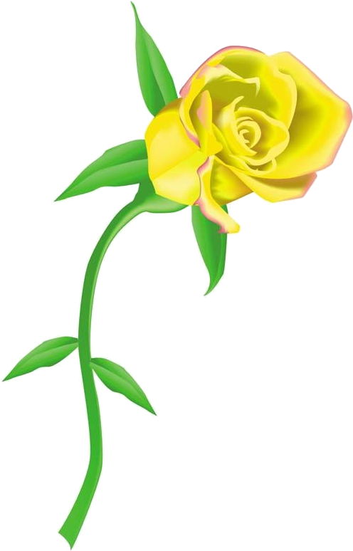 Vibrant Yellow Rose Illustration