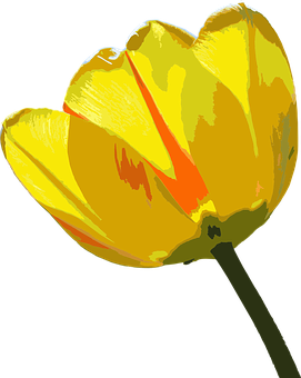 Vibrant Yellow Tulip Artwork