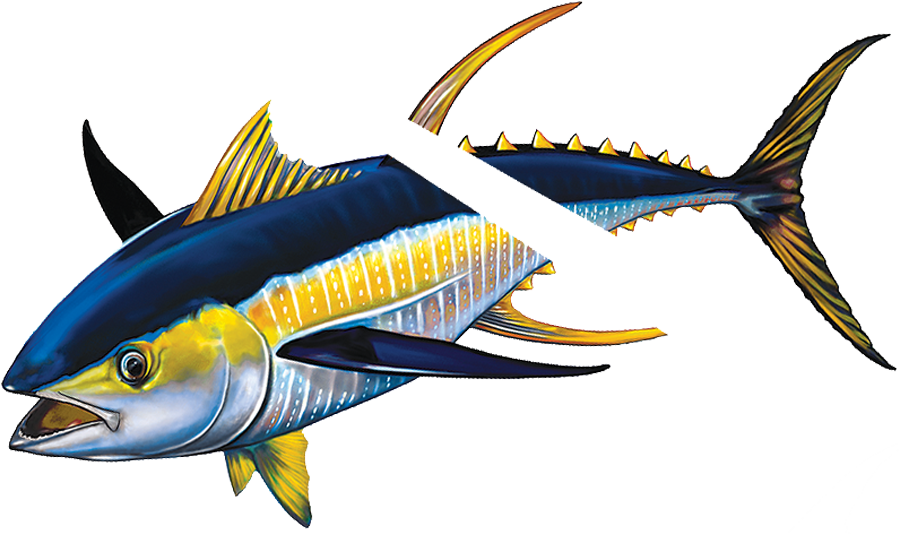 Vibrant Yellowfin Tuna Illustration