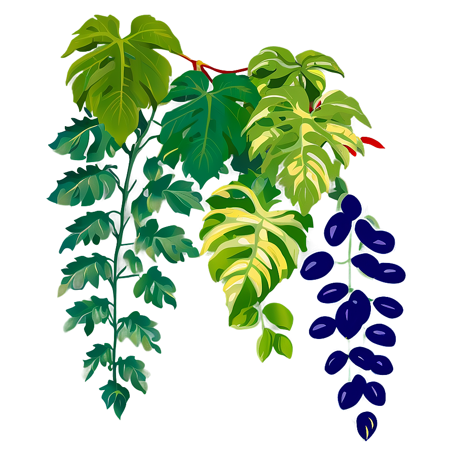 Vine Plant Clipart Png 06272024