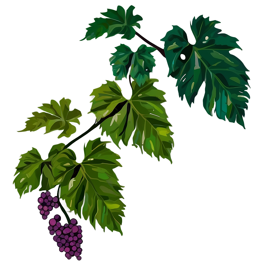 Vine Plants Png Fxv18