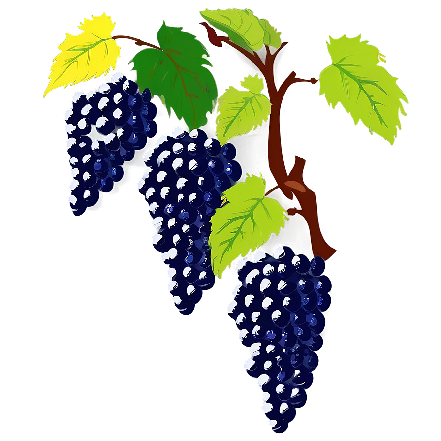 Vineyard Grape Vine Png 05042024
