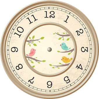 Vintage Bird Illustrated Wall Clock
