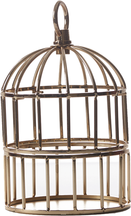 Vintage Birdcage Design