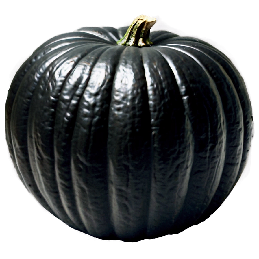 Vintage Black Pumpkin Png 06282024