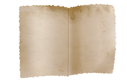 Vintage Blank Open Book Page