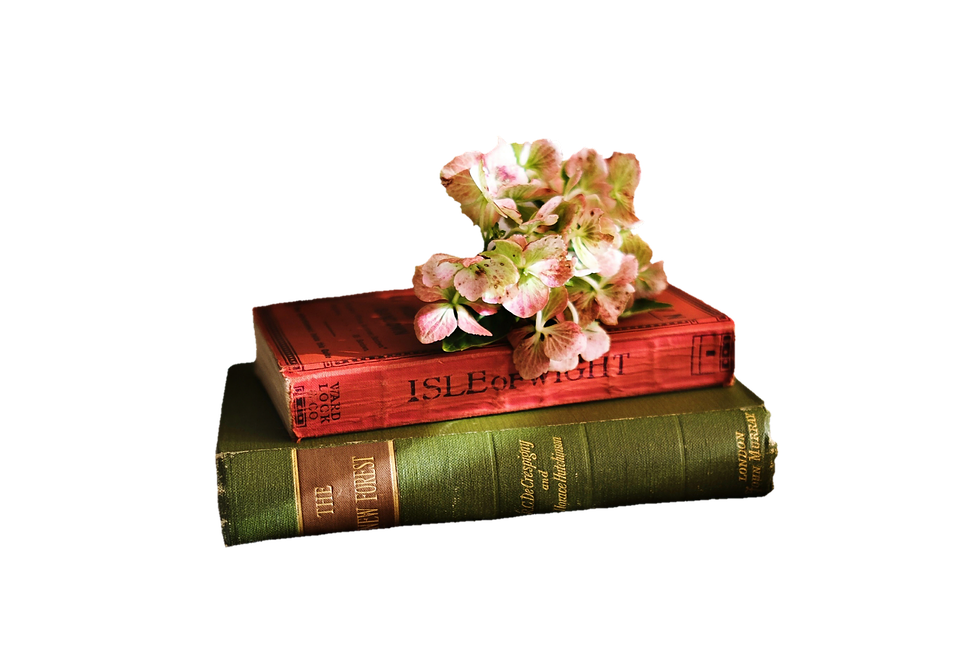 Vintage Bookswith Flowers