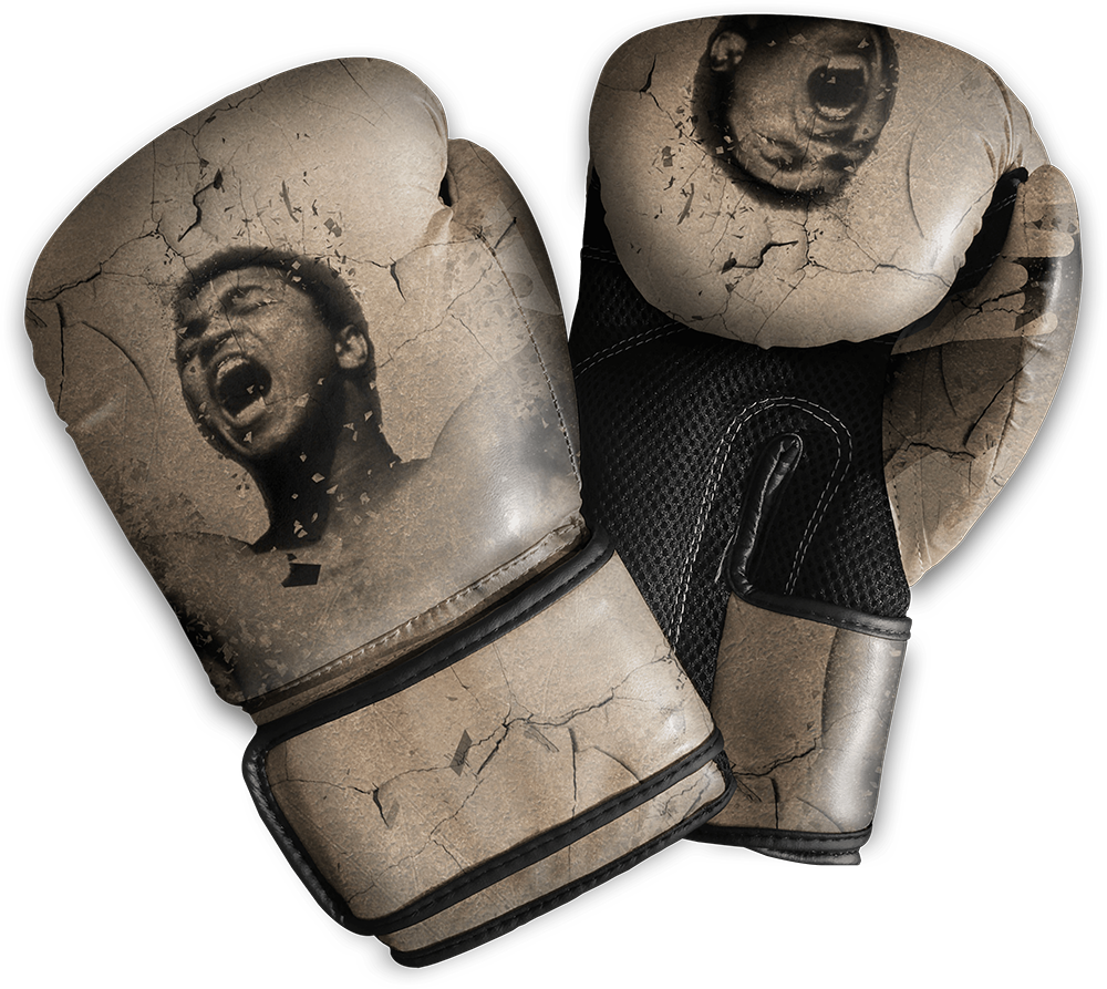 Vintage Boxing Gloveswith Faces Print