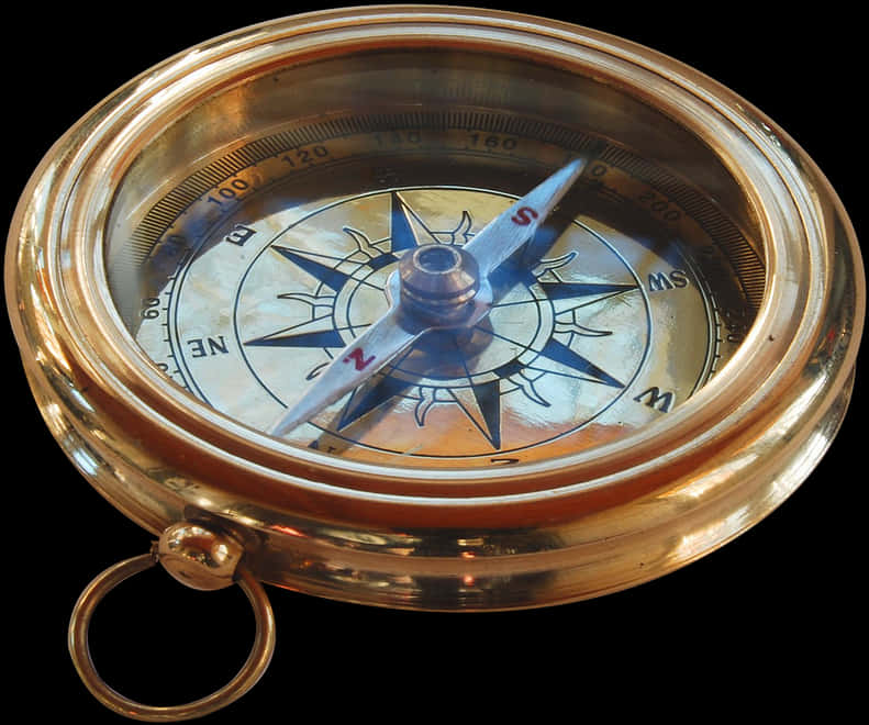 Vintage Brass Compass