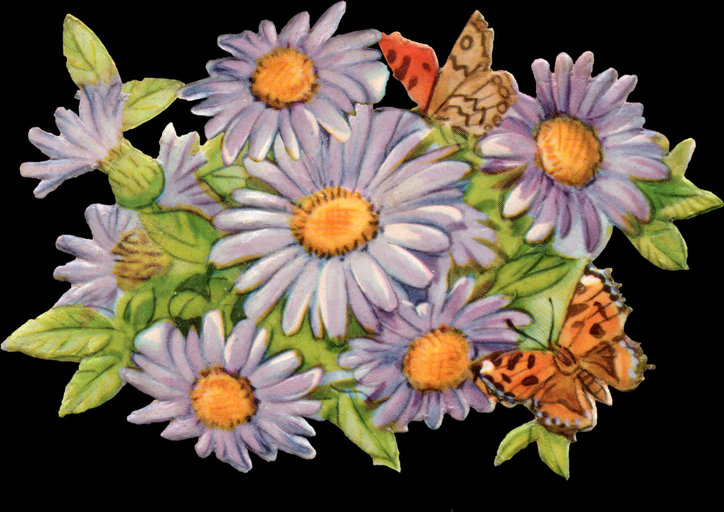 Vintage Daisyand Butterflies Illustration