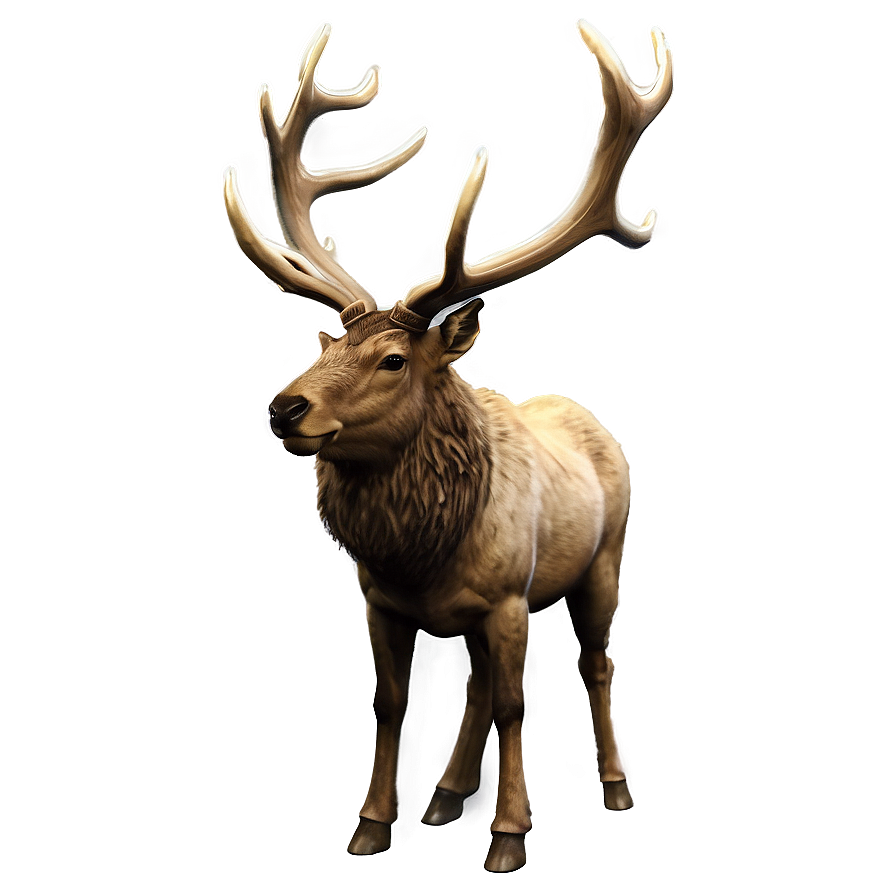 Vintage Elk Png 67