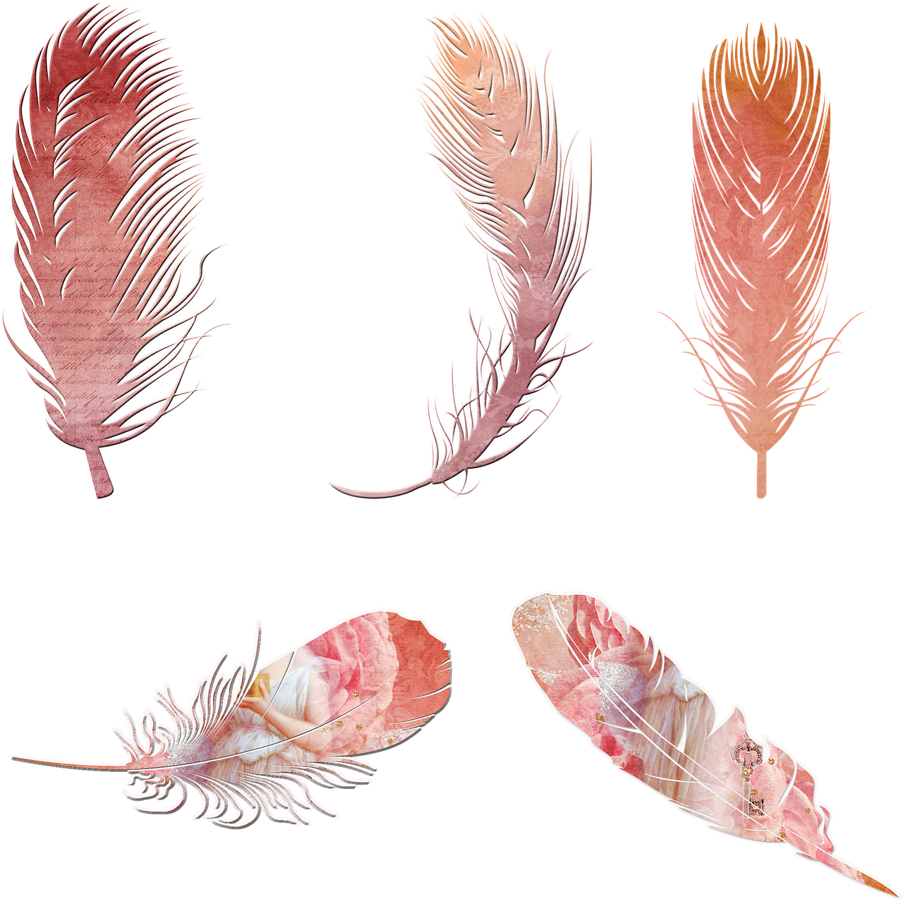 Vintage Feather Collection Clipart