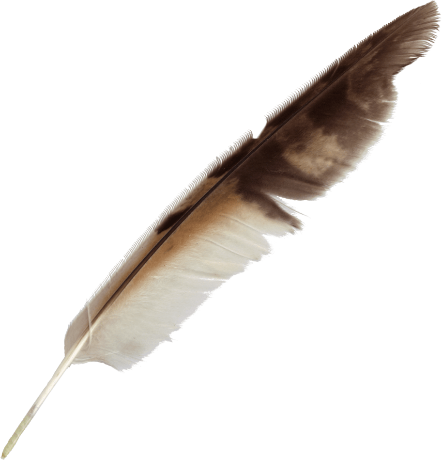 Vintage Feather Quill Pen.png