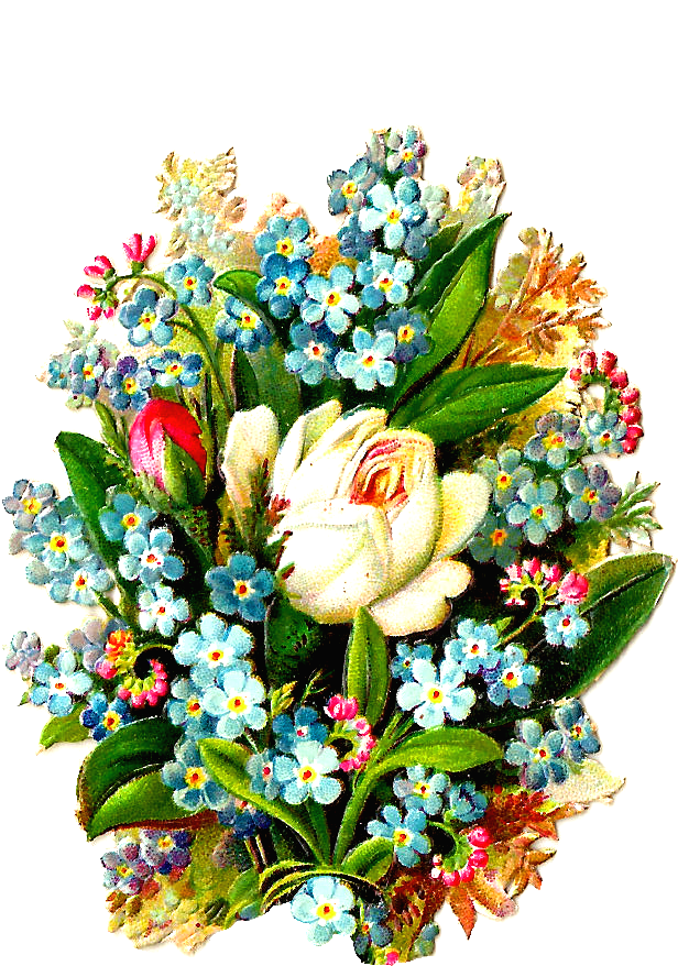 Vintage_ Floral_ Bouquet_ Illustration