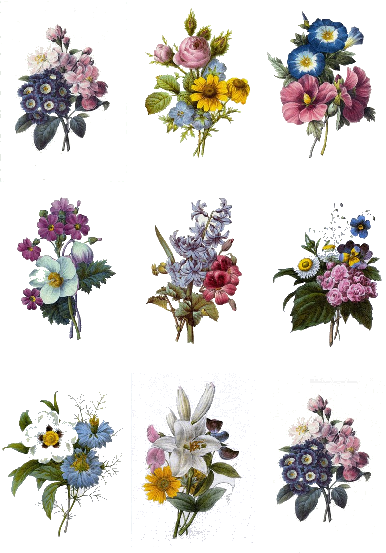 Vintage Floral Bouquets Collection