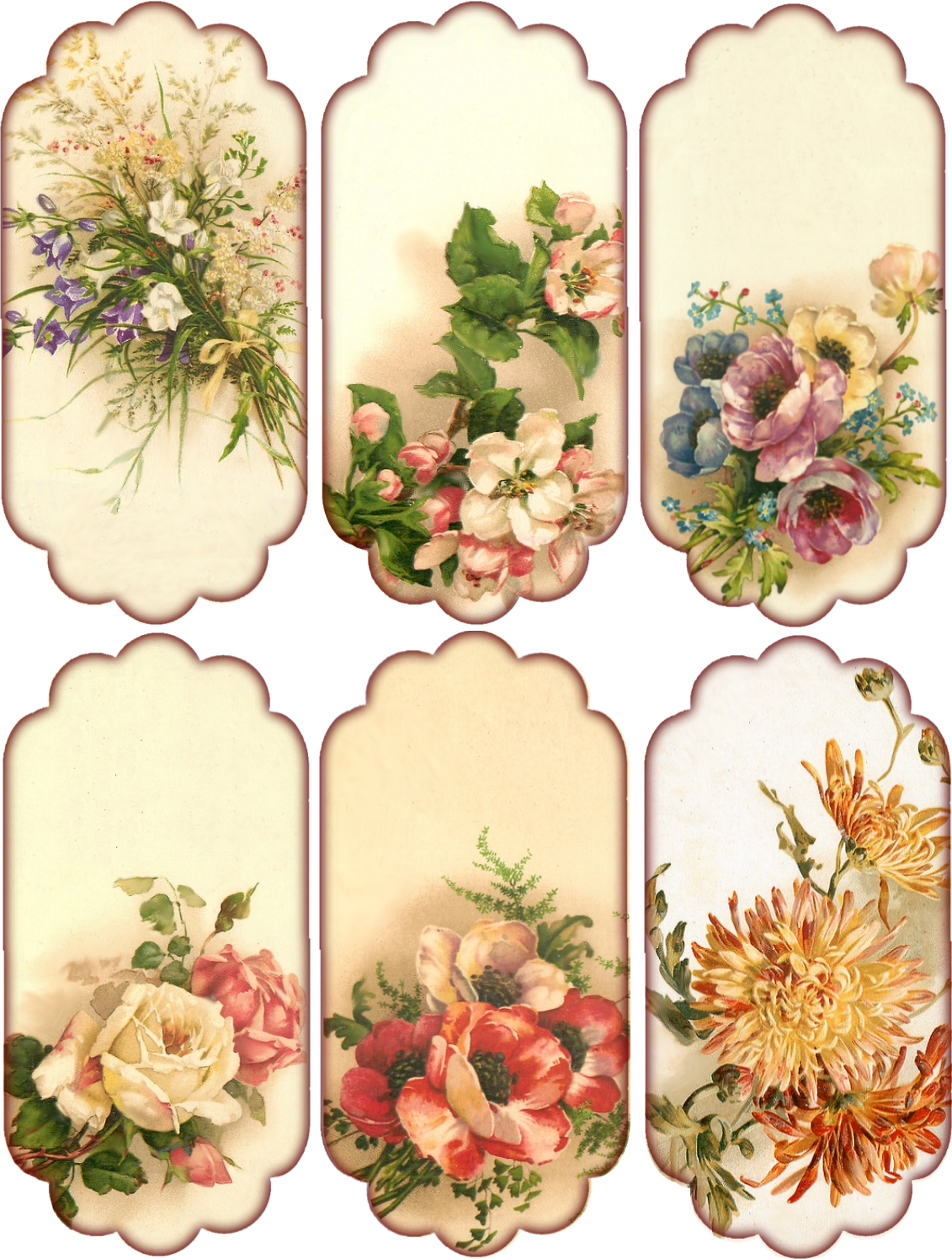 Vintage Floral Collection