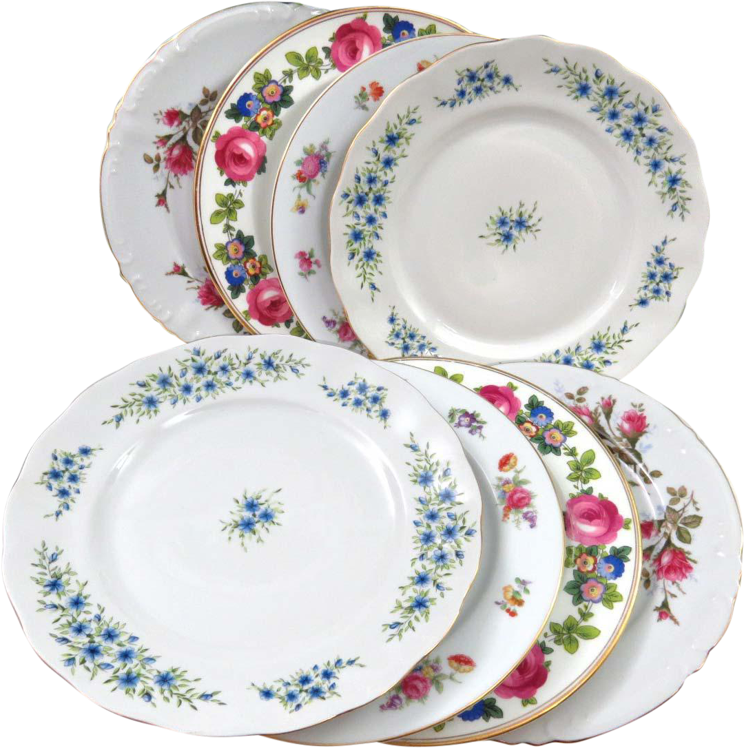 Vintage Floral Dinner Plates Set