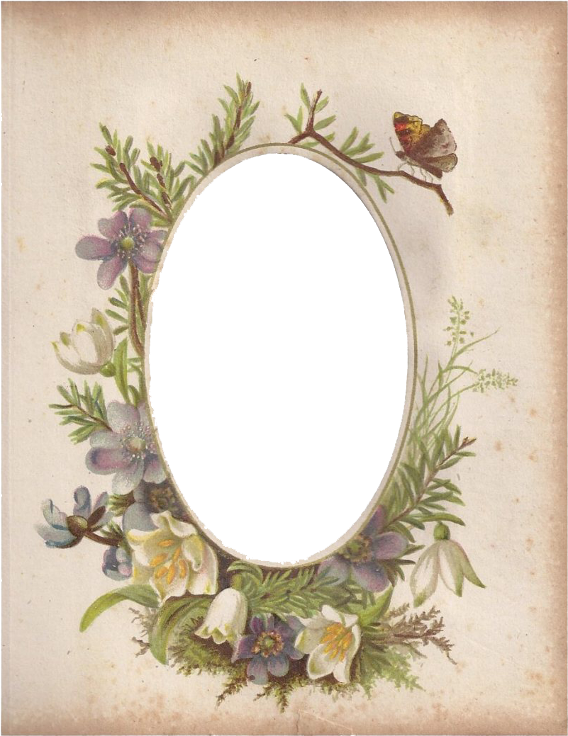 Vintage Floral Oval Framewith Butterfly