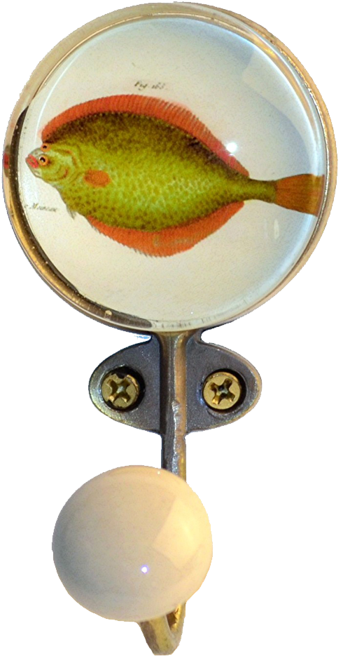Vintage Flounder Illustration Pin