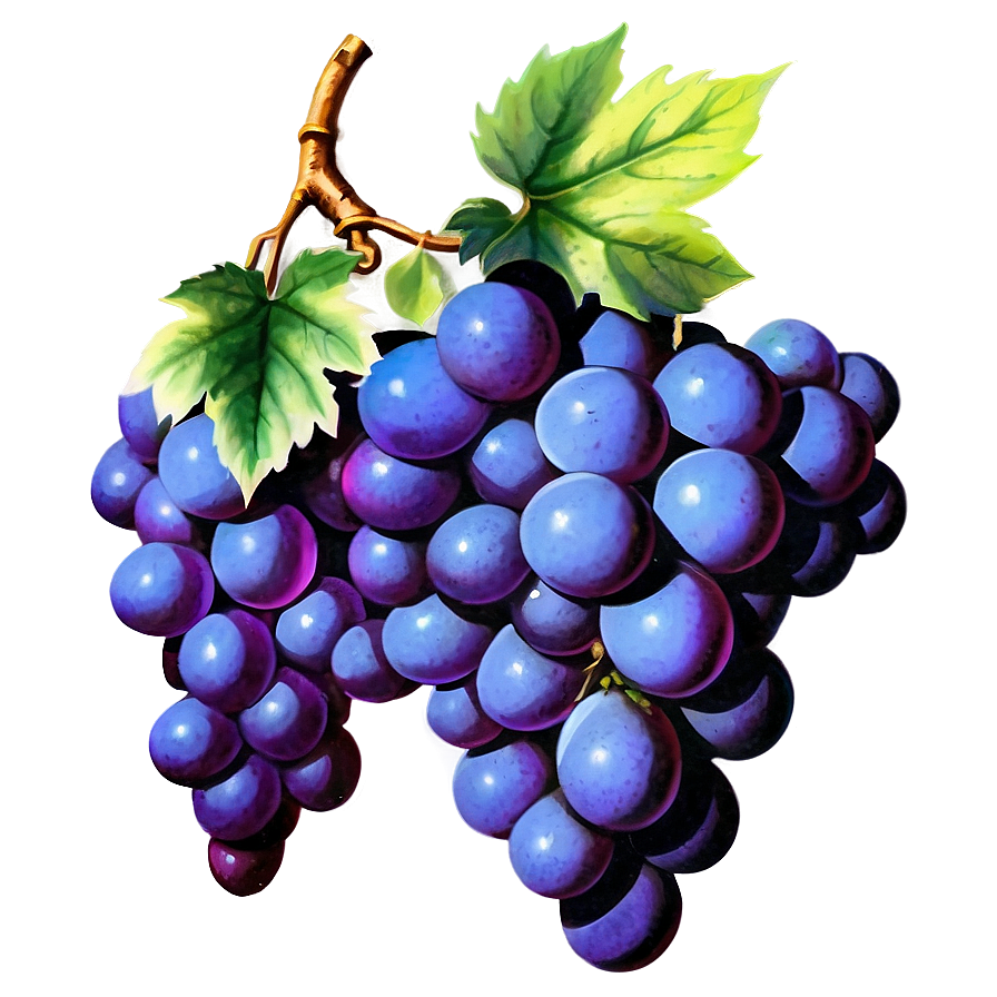 Vintage Grape Png Yuy9