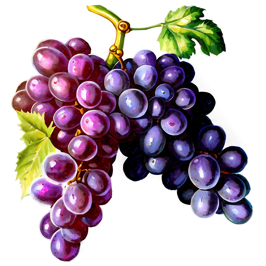 Vintage Grapes Png Sbr97