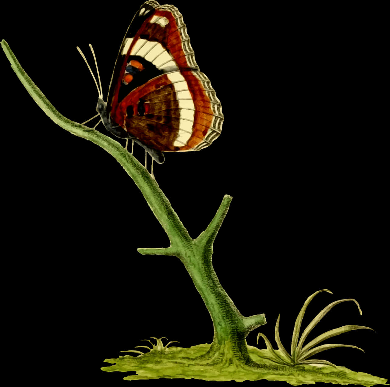 Vintage_ Illustrated_ Butterfly_ Perched