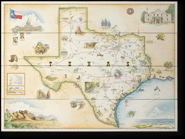 Vintage Illustrated Texas Map