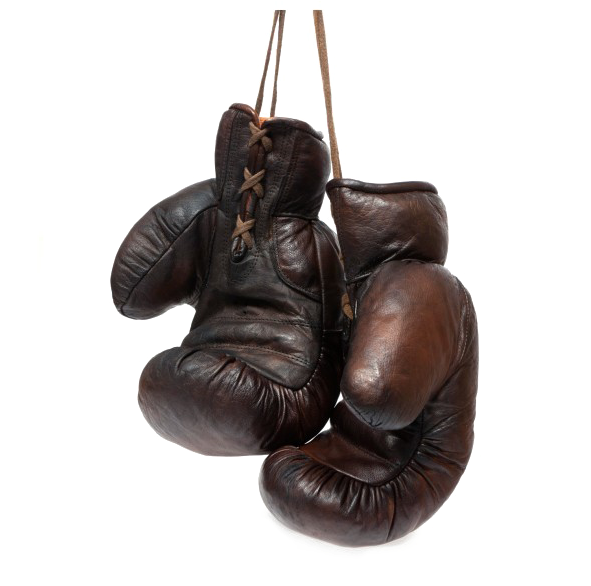 Vintage Leather Boxing Gloves Hanging