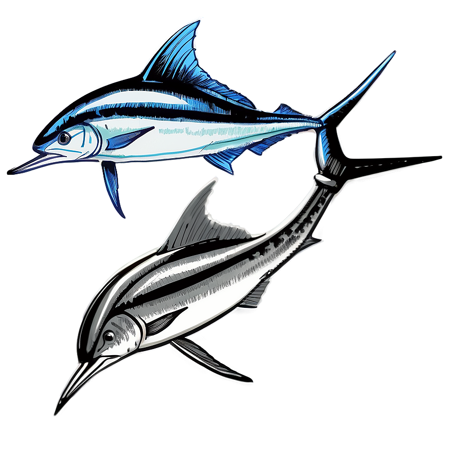 Vintage Marlin Sketch Png 42